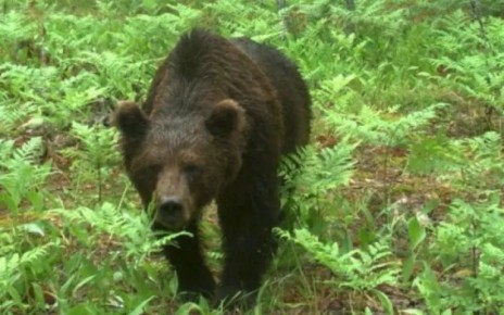 "�� ��� � ���� ���������!" - ����� ������ �������� ���� ����� ������� � ��������