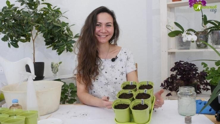 ��� ��������� ����� ������ ����� � ����������: �������� ������ � ������������