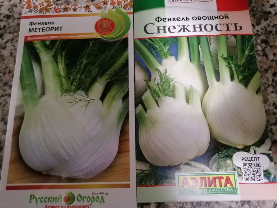 Как вырастить кочанный фенхель: секреты успешного урожая