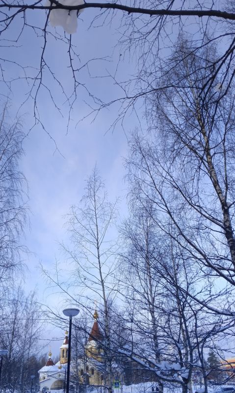 Жизнь на пенсии: как замедление времени помогает наслаждаться мгновениями