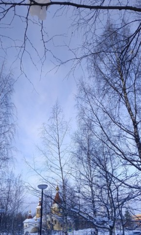 ����� �� ������: ��� ���������� ������� �������� ������������ �����������