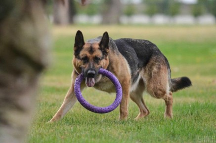 ������� ������, ������� ����� �������� ��������