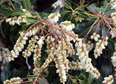 ������: �������� ��������� �� ��� ������� ������� ���