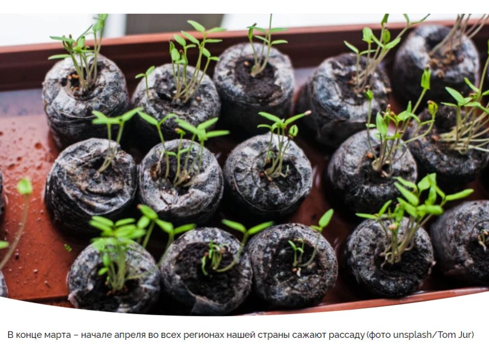 Лунный календарь для садоводов: советы на неделю с 27 марта по 2 апреля