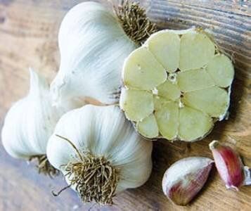 Весенний чеснок: секреты посадки и ухода для успешного урожая