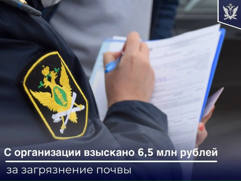 В Мордовии капитальный ремонт школы в Ельниковском районе обернулся экологической проблемой