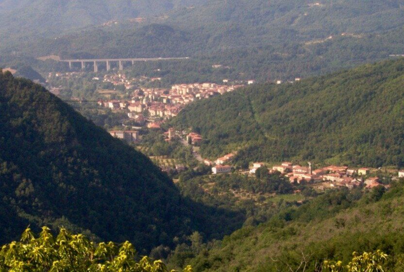 Трава как новый тренд: что стоит за популярностью луниджанского пирога