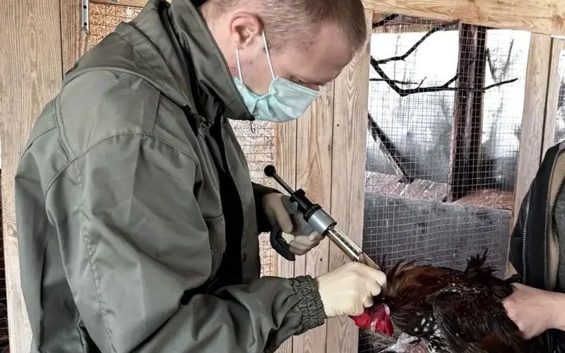 ����������� ��������������� ������������ ������ �������� ���������� ��������� �������� ������ �� ���������� ������������� ������������ ���������� ������� �� ����������������� ������ ����