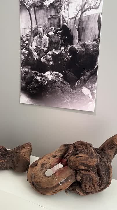 ��������������� ������� ����� ��������� �������� �������������� ���� - 150����� �� ��� �������� ����������� ���������� ������� �����