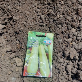 ��� ������� ����� �������� ��� ������ � ���� �� ������