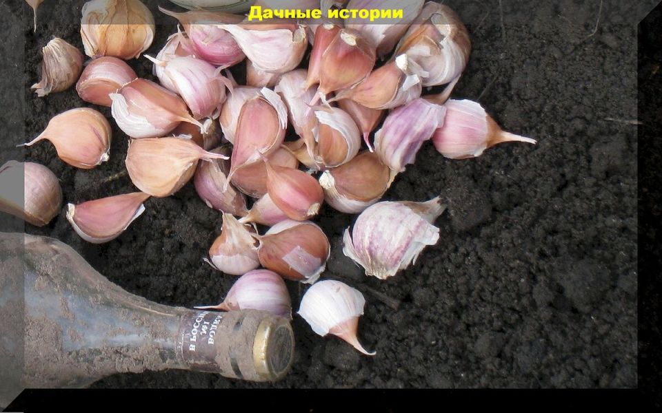 ��� ��������� �������� ������ ������: ������ � ������������