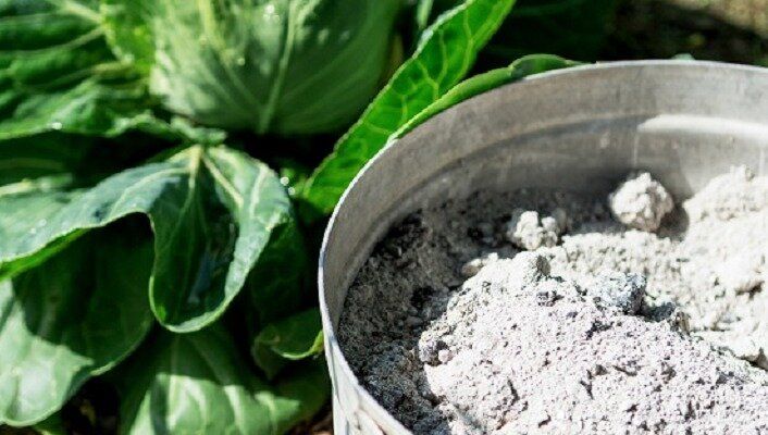 ���� ��� ���������: ������� ��� ��������� ����� ������ � ������