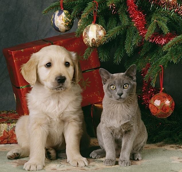 ������ � ����� �� �������� ������: ��� �������������� �������� � ����� � �����