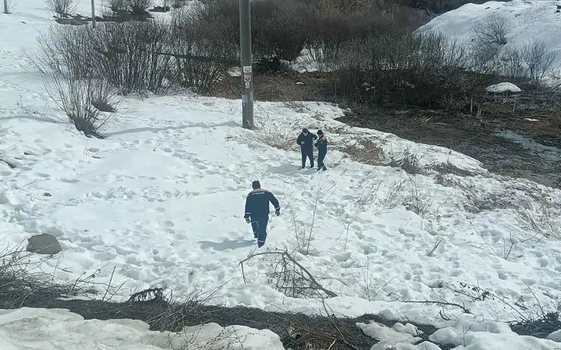 � �������� ���������� �������� �������� �� �� ������ ������� �����