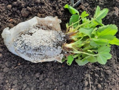 ��� �������� �������� � ���������� � �� ���������