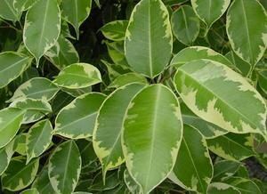 ������: ��� ������� ��������� ���� � ��������� �� ��� � �������� ��������