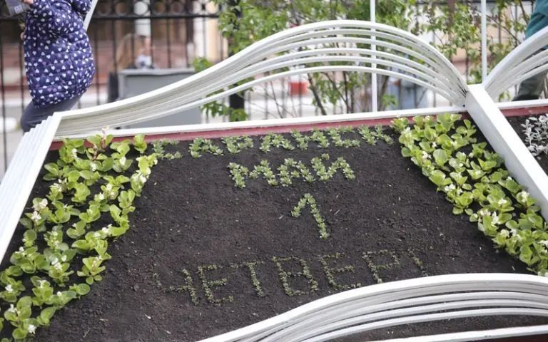 � ������� � ��� ����� ����������� ��������� ������ �� ��� ���