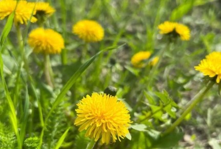 Апрель 2026 года обещает быть теплее обычного