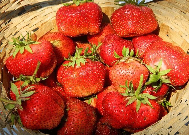 ������� ��������� ����������� �������� � �������: �� ������ �� �����