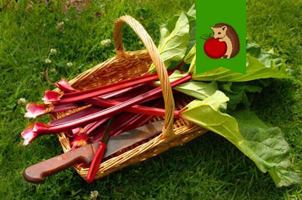 ���� ������, ������ ������ ������ ��������� �� ����� �������