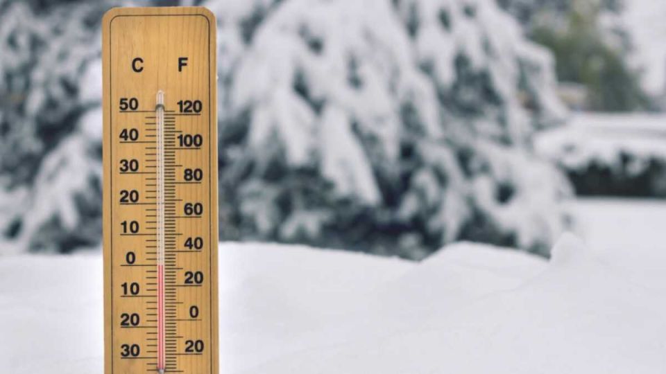 ��� ������������� �������� ������� � ����� 2026 ����