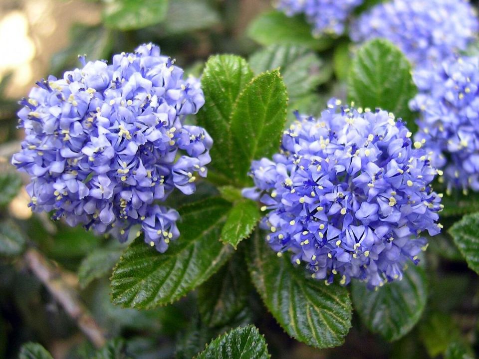 ��������: ����� ������ �� ��������� ����� � ����� ����