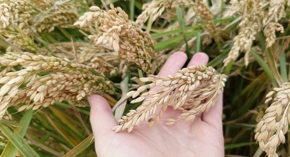 ��� � ��������: ��� ������ ����� ������� �������� ������