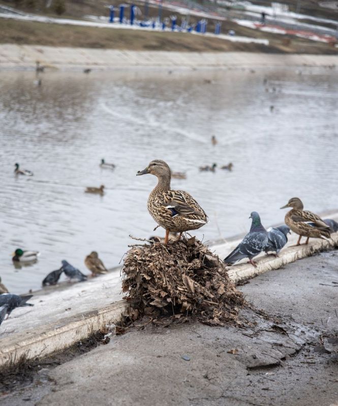 ���� �������� ����������, �������� � �������!