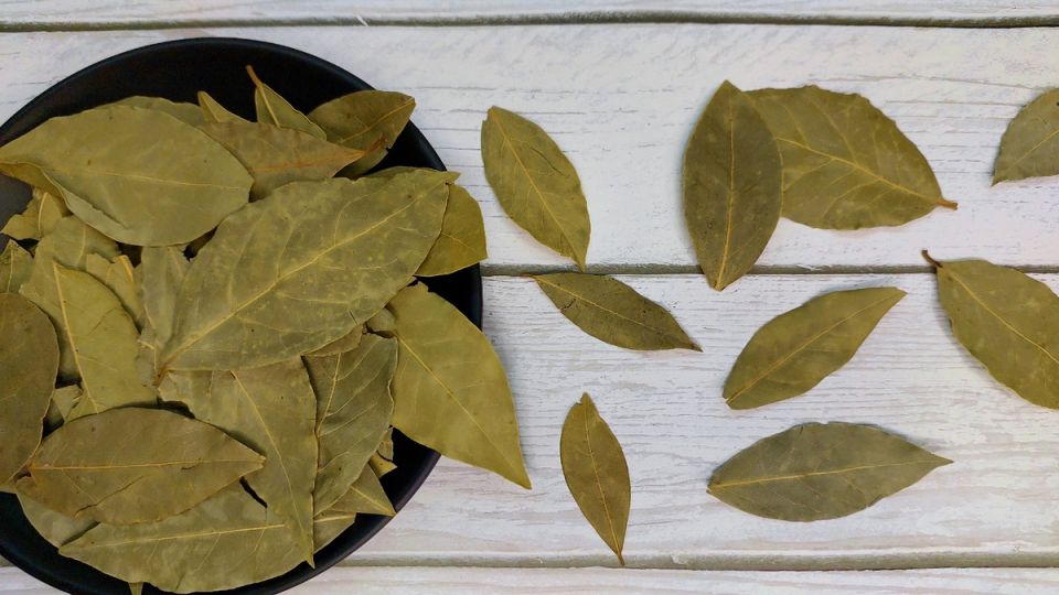 ��� ������������ �������� ���� �� ����� � ����