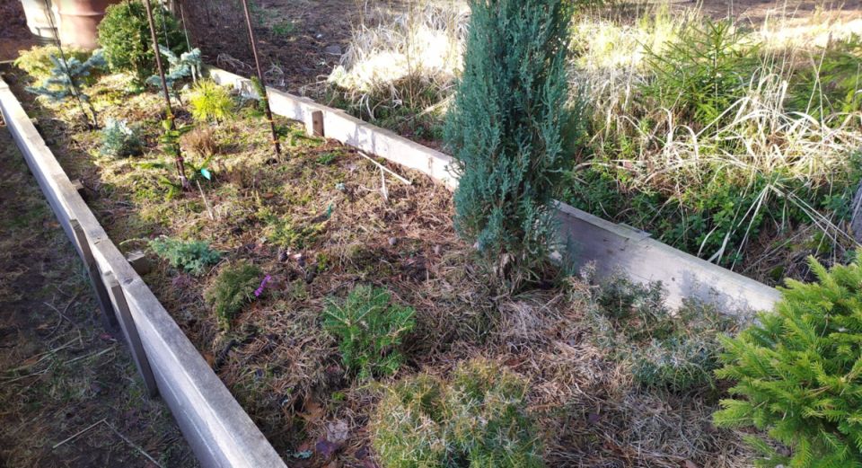 ����� ����� ����������� ������: ����� � ������ �������������