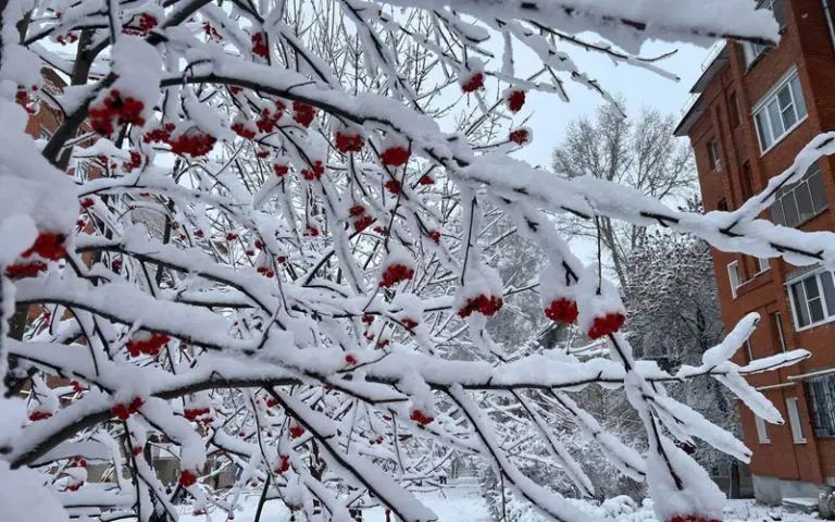 ���� � �������, ��� � ������� ��� ������ ������