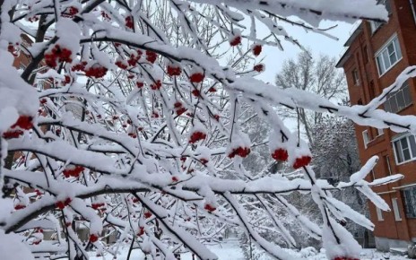 Хоть и говорят, что у природы нет плохой погоды