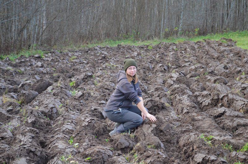 ��� �������� ����� �� �������: ������� ������ �� �������� �����������