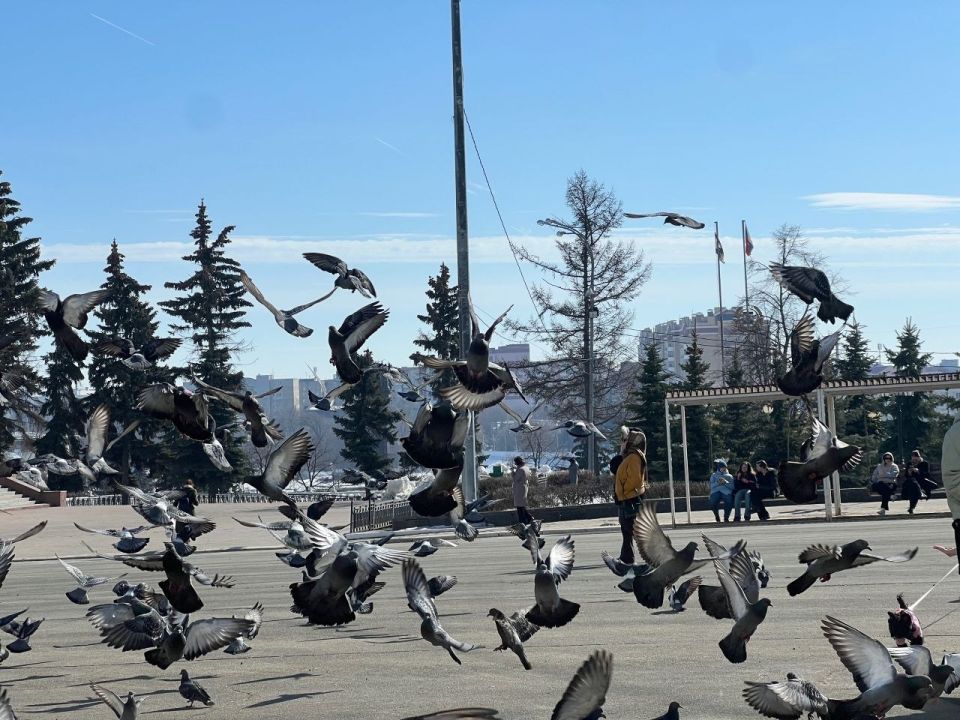 ���������� �������: � ��������� ����� ����������� �� �������� ������, ��������� �������