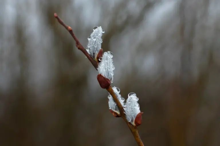 �������� � ���������� ������� ���� ��-��������� �������