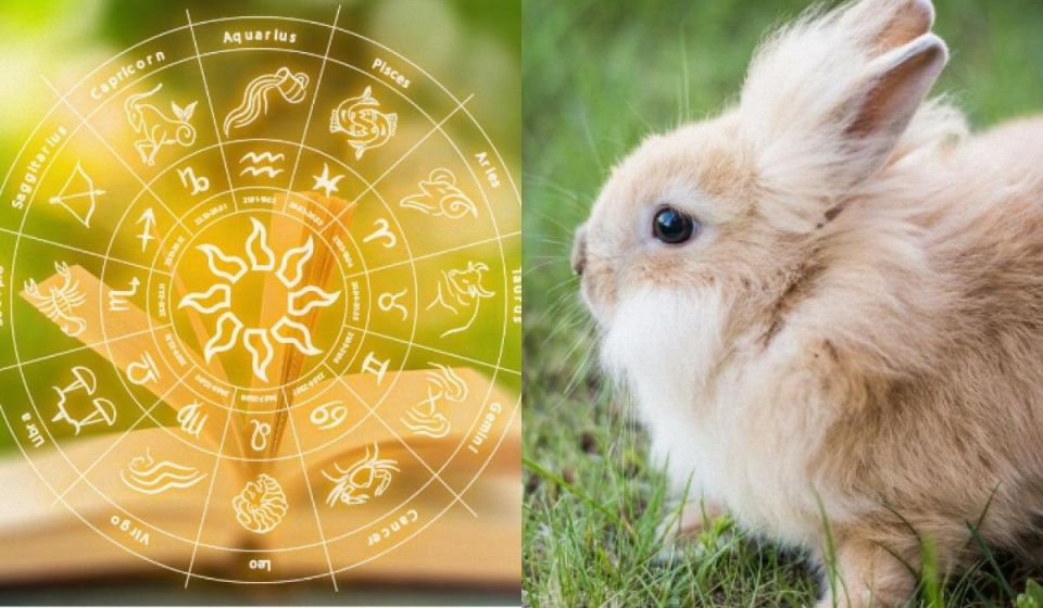 ����� ���������� �������� ������������� ������ ����� �������?