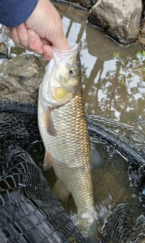 Тайны летней рыбалки: как жара влияет на поведение рыбы