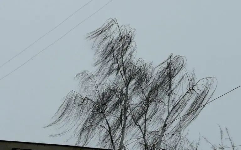 � ��� ������ ��������. � �������� �� 5 ������ ��������� ����������� ��������������