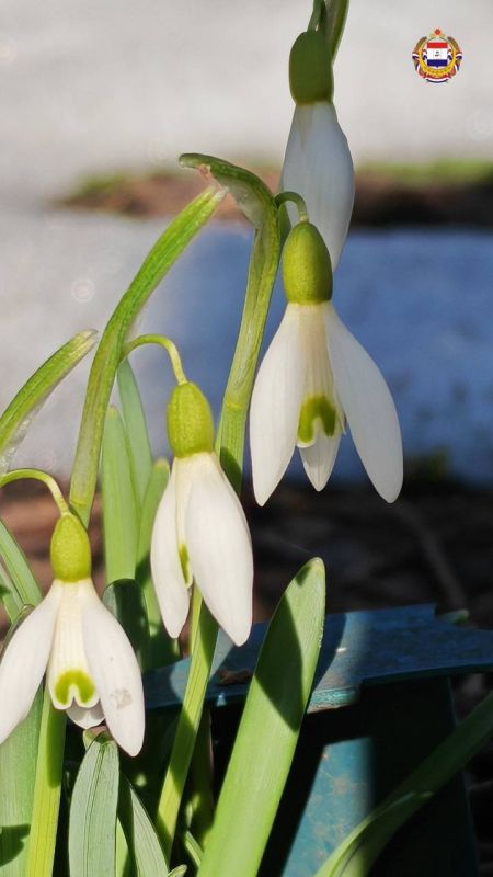 #������������������. ������������ ��� � �������� ���� ������ ��� �����������, �� �� ��� ��������� �� ������� � ����