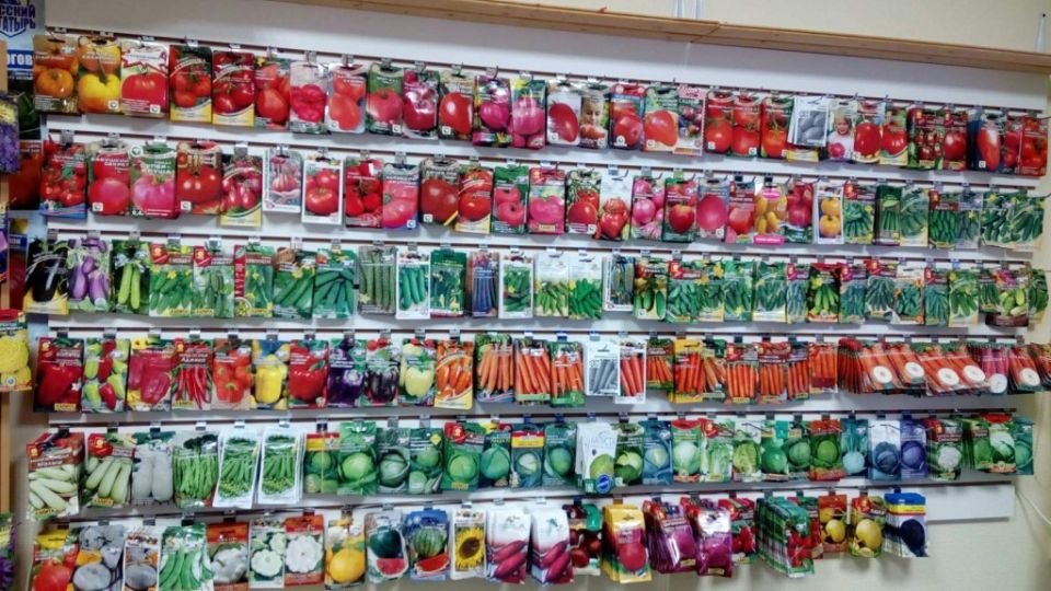 ������ �������� ������� ��� ������ ������: �������� � ������