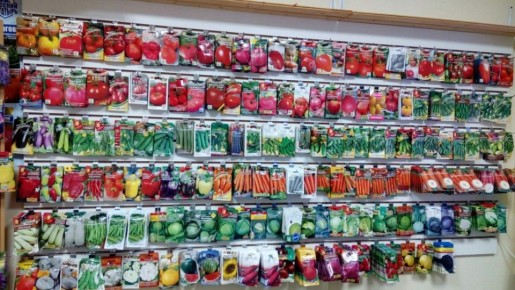 ������ �������� ������� ��� ������ ������: �������� � ������