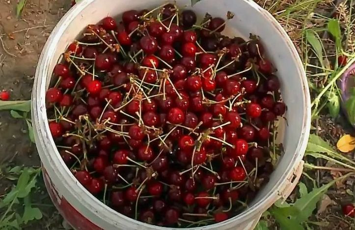 ���� �� ������ � ������ ������: ������� �������� �������� � �������� ������