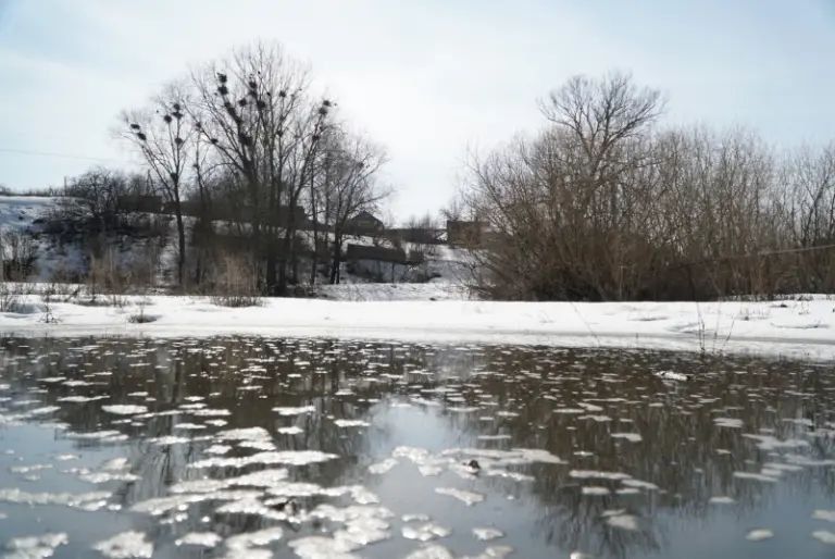 ����������� ��� ���� �������� ��������� �� ���� � ������� �� �������