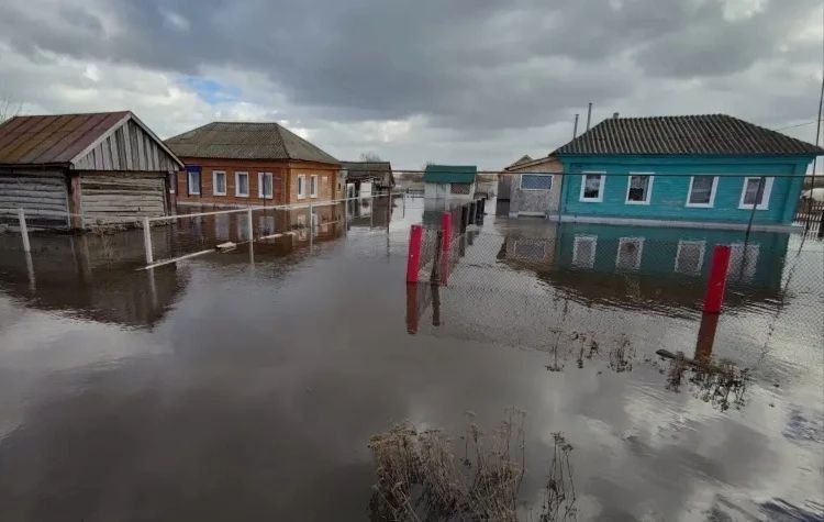 �� ����� �������� ������������ ����������� ������ ����