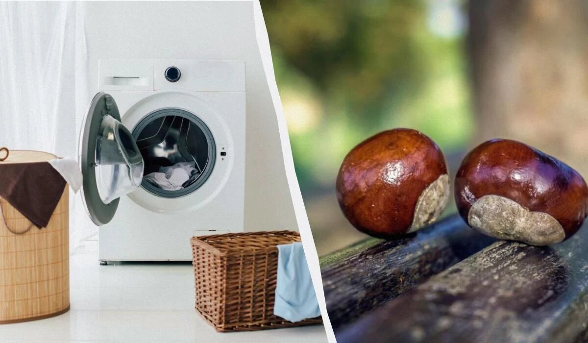 Как каштаны помогают сэкономить на стирке: удивительный метод без затрат