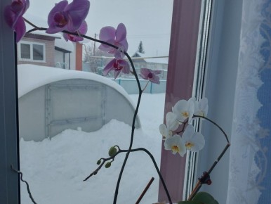 � ������ ����� ������� ������ ��� �������� ����������� ������� � ���������� ������� ����������