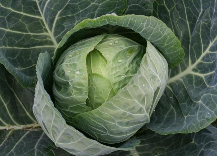 ��� ��������� ���������� �������, ����� �������� ������� ������