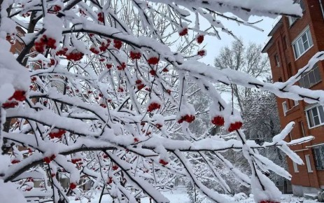 В европейскую Россию возвращается зима