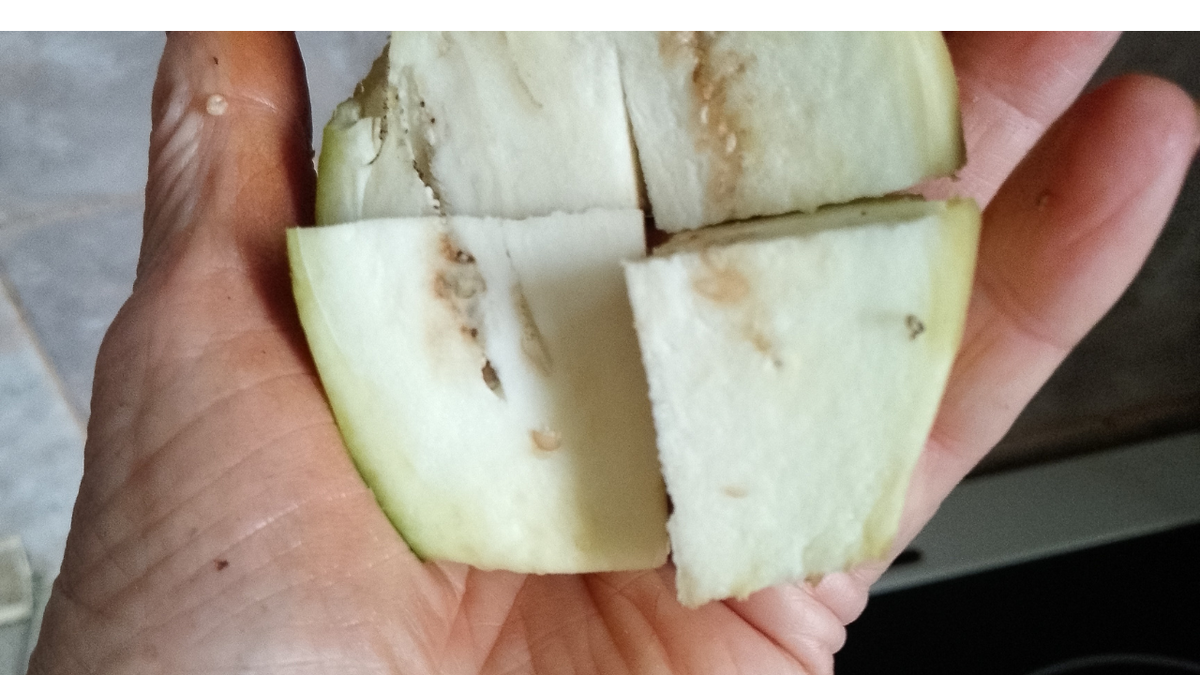 Зимние салаты из баклажанов: как превратить простые ингредиенты в кулинарные шедевры