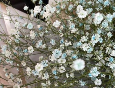 ���������: ������� ����������� ����� ���������� ������ � ����� ����